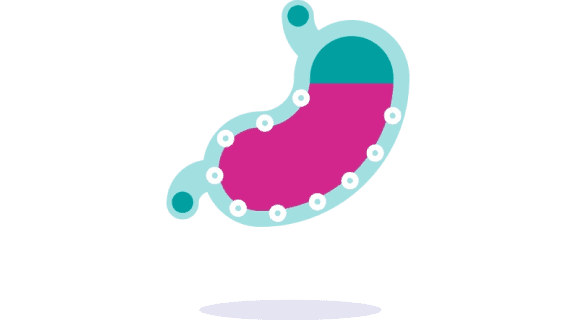 Guardium helps block acid pumps in your stomach